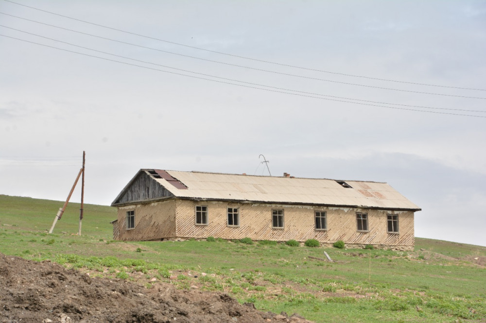Транссексуалды және фаллус